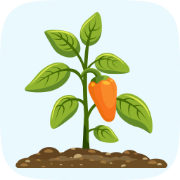 App Logo